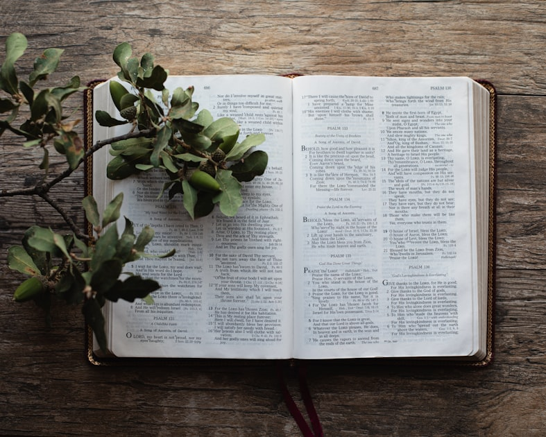 Bible Verses for Encouragement